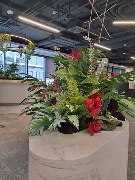 Amenajari spatii de birouri cu plante naturale si artificiale.