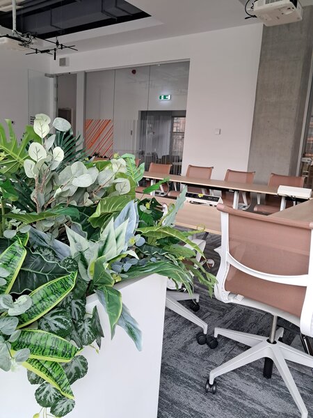 Amenajari spatii de birouri cu plante naturale si artificiale.