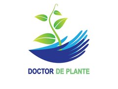 Amenajari spatii de birouri cu plante naturale si artificiale