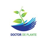 Amenajari spatii de birouri cu plante naturale si artificiale